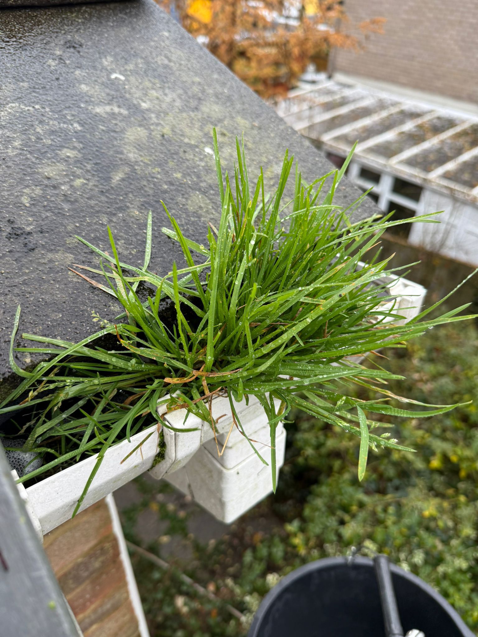 Blocked gutter downpipe in Stondon